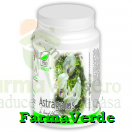 Astragalus 60 capsule ProNatura Medica