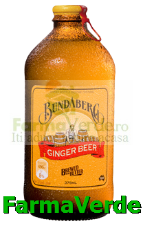 Ginger Beer 375ml Sano Vita