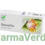 Boswellia Antiinflamator 30 capsule Medica ProNatura