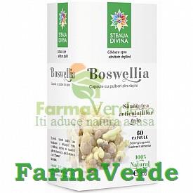 Boswellia 60 capsule 500 mg Steaua Divina