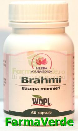 Brahmi Bacopa monnieri Tonic Cerebral 500 mg 60 capsule Herba Ayurvedica