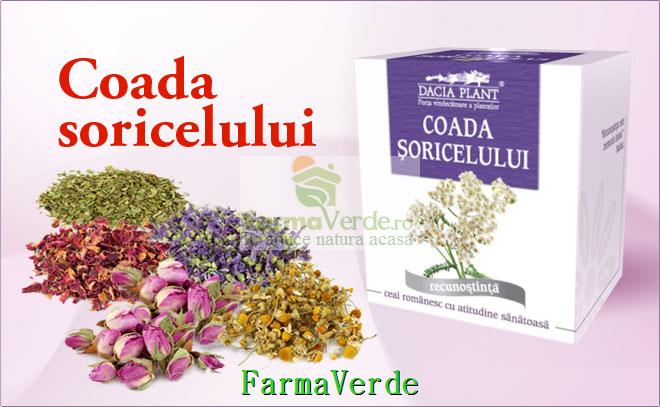 Ceai Coada Soricelului - 50 g DaciaPlant