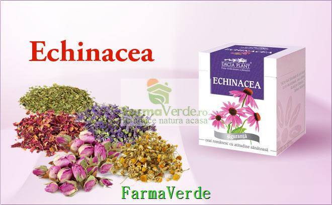 Ceai Echinacea - 50 g DaciaPlant