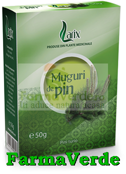 Ceai Muguri de Pin 50 gr Larix