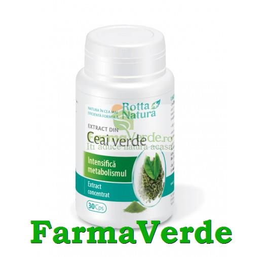 Ceai Verde Extract 100 mg 30 capsule Rotta Natura