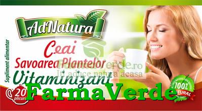 Ceai Savoarea Plantelor Vitaminizant 20 plicuri Adnatura Adserv