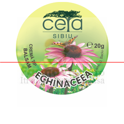 Unguent Echinacea 20 gr Ceta Sibiu Plafar