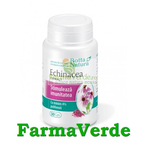 Echinaceea Extract 280 mg 30 capsule Rotta Natura