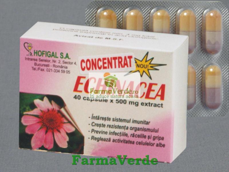 Echinacea 40 Cps Hofigal