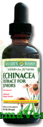 NOU !Echinacea Extract Lichid Copii 59ml Nature's Bounty Walmark