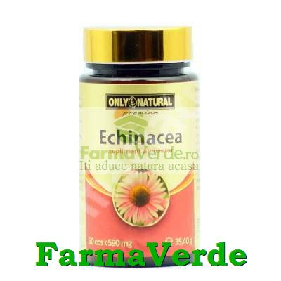 Echinacea 590mg 60 capsule Only Natural