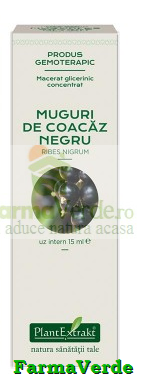 Extract Concentrat din Muguri de Coacaz Negru 15 ml Plantextrakt