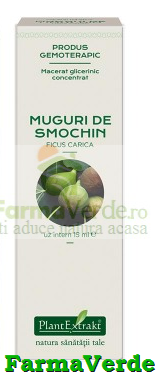 Extract Concentrat din muguri de SMOCHIN Ficus carica 15 ml