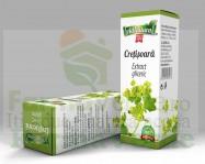 Extract Gliceric CRETISOARA 50 ml Adnatura Adserv