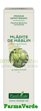 Extract Concentrat din Mladite de Maslin 15 ml Plantextrakt