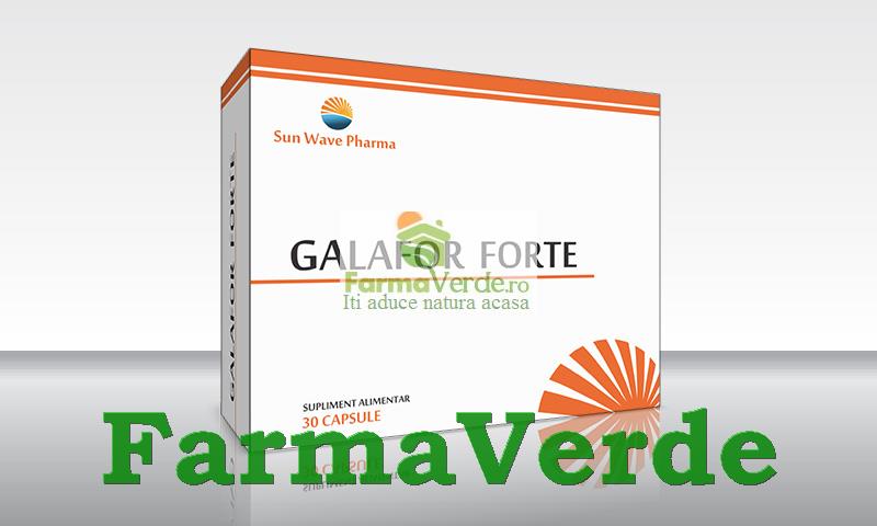 Galafor Forte Stimularea Lactatiei 30 cps Sun Wave Pharma