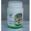 Ganoderma & Borojo & Noni 60 capsule Medica ProNatura