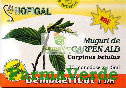 Gemoderivat de Carpen Alb - Muguri 30 Monodoze Hofigal
