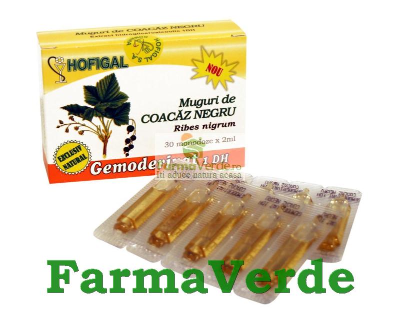 Gemoderivat de Coacaz Negru - Muguri 30 Monodoze Hofigal