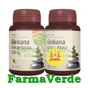 Ginkana Ginkgo Biloba PACHET! 120 mg 30cpr+30 GRATIS! Alevia