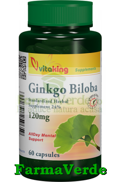 Ginkgo Biloba 120 mg cu absorbtie indelungata 60 capsule Vitaking