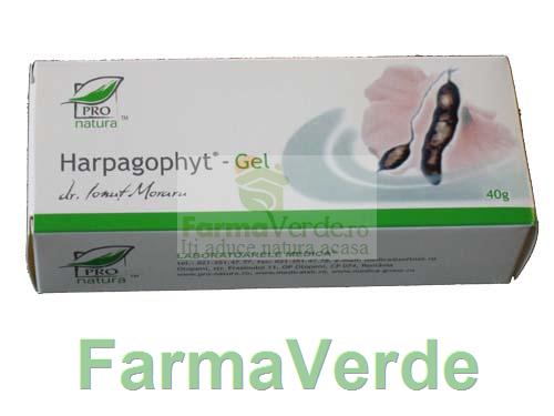 Gel Harpagophyt 40 gr Medica ProNatura