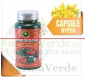 Hipocolesterolemiant 60 Capsule Hypericum Plant