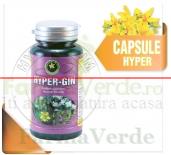 Hyper-Gin 60 Capsule Hypericum Plant