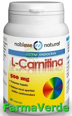 L-CARNITINA 500mg 30cps NOBLESSE NATURAL