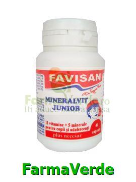 Mineralvit junior 40 capsule Favisan