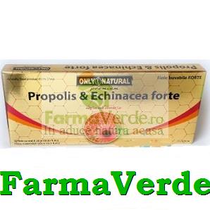 Propolis + Echinaceea Forte 10fiole 10ml 100mg 100mg Only