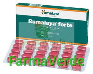 Rumalaya Forte 60 Cpr Antireumatic herbomineral Prisum Himalaya
