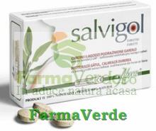 Salvigol Adulti 30 tablete Aboca