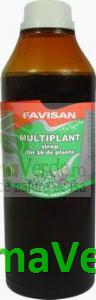 Sirop Multiplant 36 de plante 250 ml Favisan