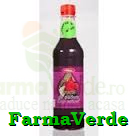 Sirop Pasteurizat Fructe de Padure 500 ml Natex Adventure Import