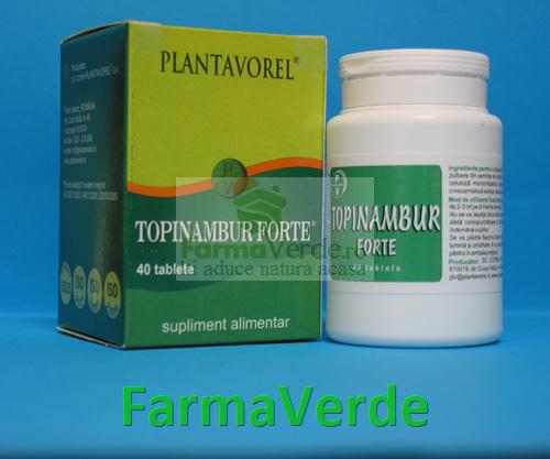 Topinambur Forte 40 tb PlantaVorel