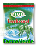 VIVIL Fresh Cool Eucalipt fara zahar 60gr