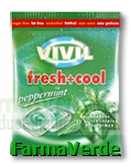 VIVIL Fresh Cool Peppermint fara zahar 60gr
