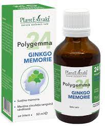 Ginkgophyt extract ginkgo biloba Polygemma 24 Ginkgo Memorie 50 ml Plant Extrakt