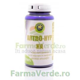 Artro Hyp HA 165 mg 60 capsule Hypericum Plant