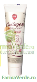 GEL COLLAGEN ACTIVE + MSM 100 ml Magnacum Med