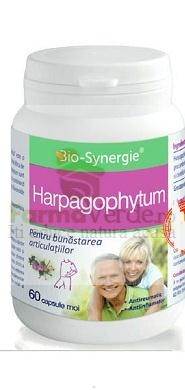 Harpagophytum Gheara Diavolului 60 capsule Bio Synergie
