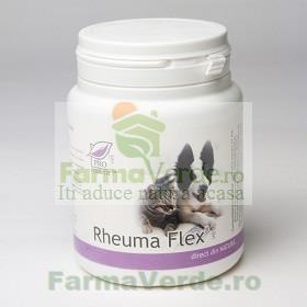 Rheuma Flex Vet Uz Veterinar (Caini si Pisici) 100 capsule Medica ProNatura