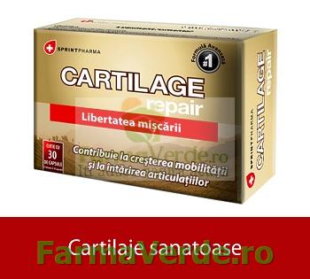 Cartilage Repair Cartilaje Sanatoase 30 Capsule Sprint Pharma