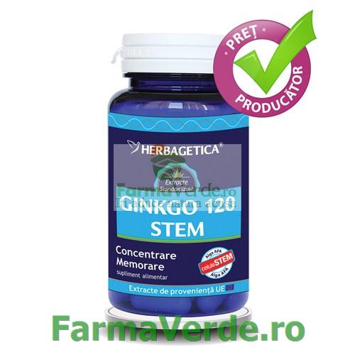 GINKGO120 STEM Sistemul Nervos 30 capsule Herbagetica