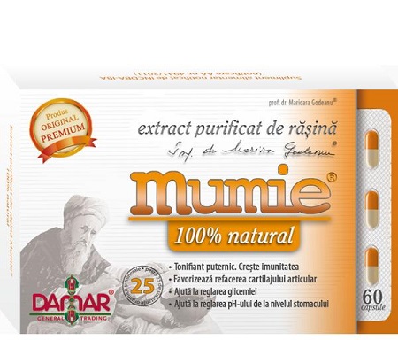 Extract Purificat de Rasina Mumie 30 capsule Damar General