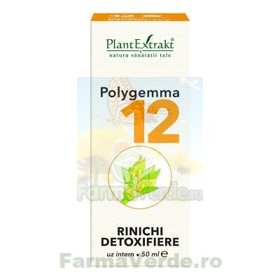 Polygemma Nr.12 Rinichi Detoxifiere 50 ml Plantextrakt