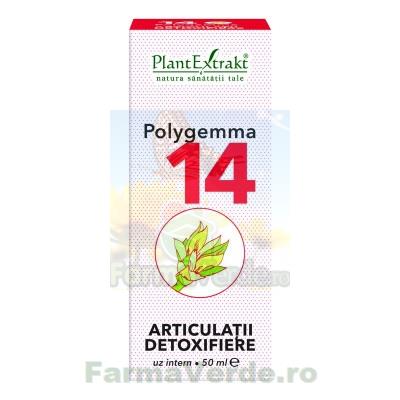 Polygemma Nr.14 Articulatii Detoxifiere 50 ml Plantextrakt