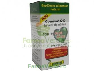 COENZIMA Q10 in Ulei de Catina 60 mg FORTE PLUS 40 capsule Hofigal