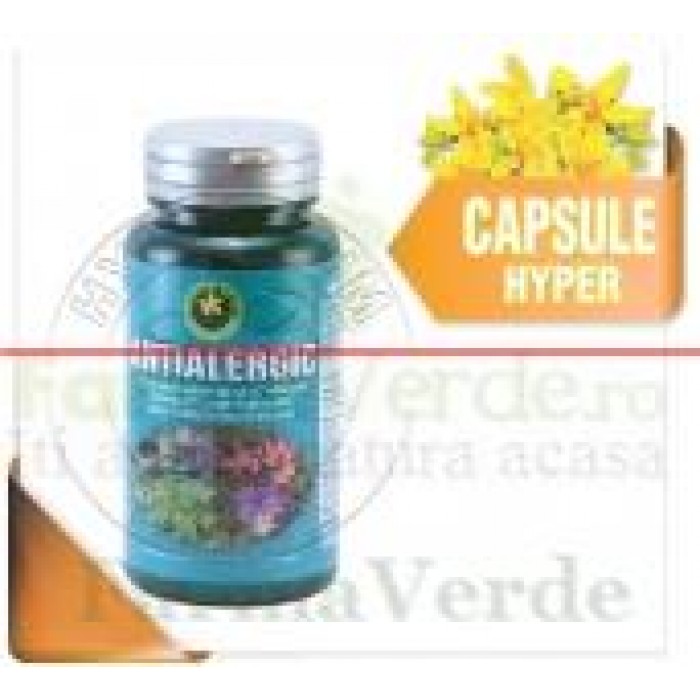 Antialergic 60 Capsule Hypericum Plant